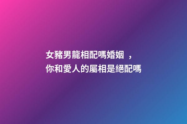 女豬男龍相配嗎婚姻，你和愛人的屬相是絕配嗎-第1張-觀點-玄機派